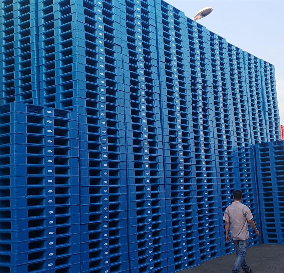 2 40'HQ plastic pallet to Trinidad and Tobago_副本