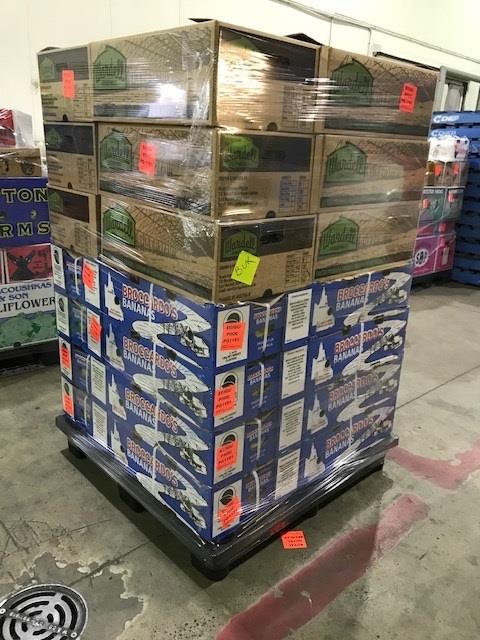 product-1-1 export use plastic pallet