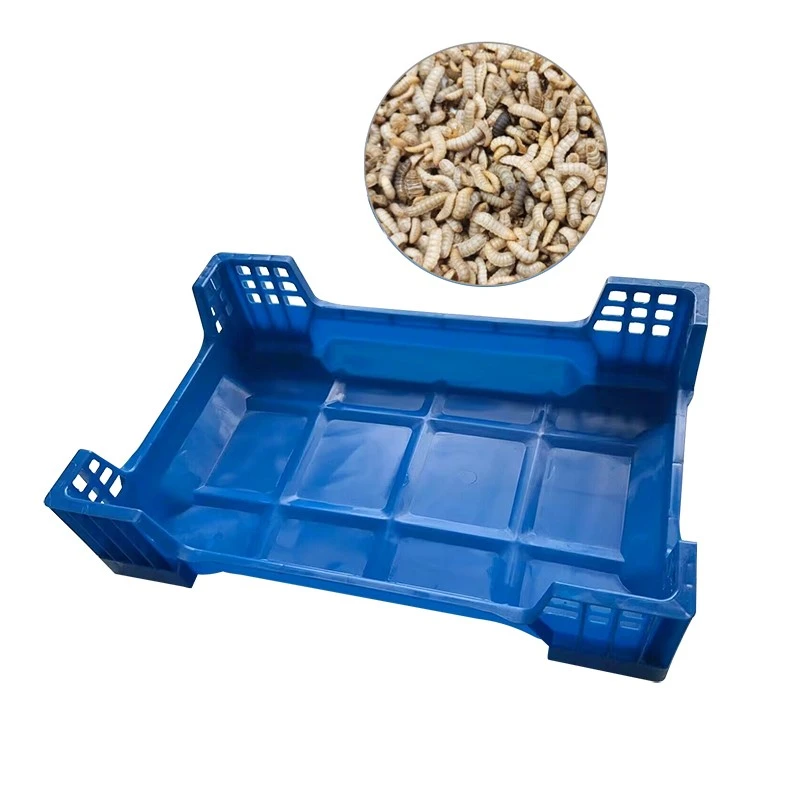 product-800-800