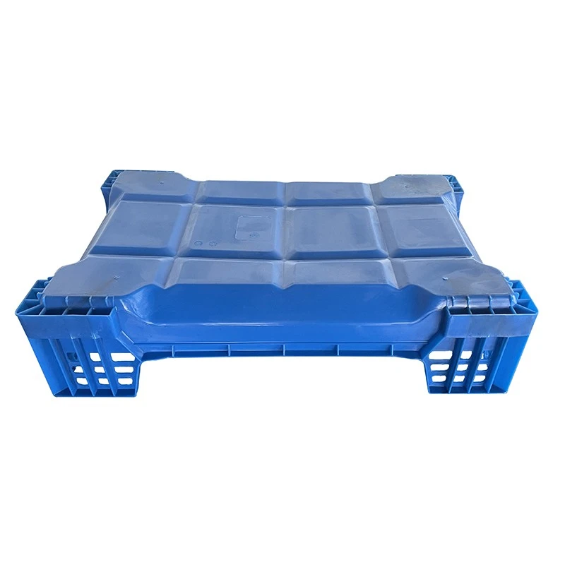 Plastic Beetle Inlay Tray BSF Insect breeding box