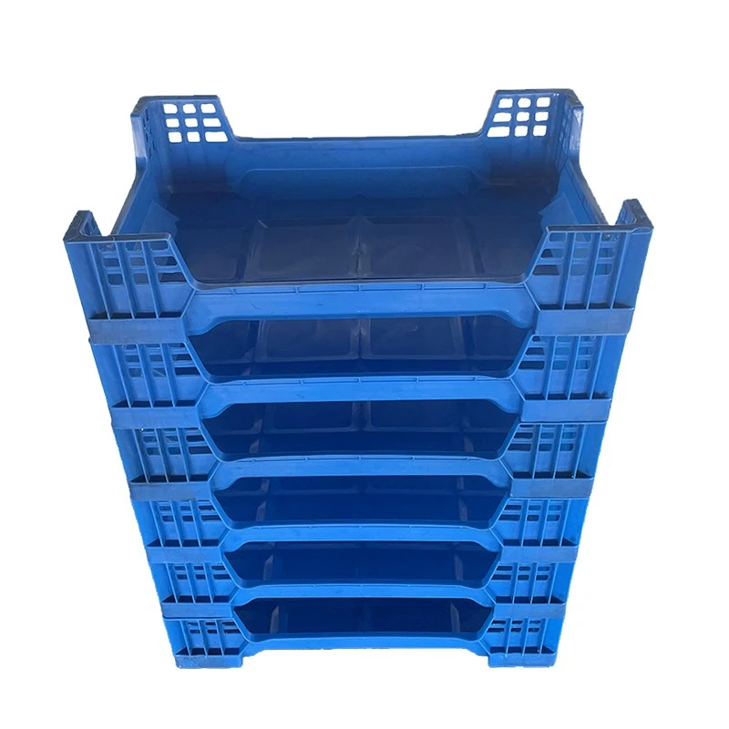 Wholesale Plastic Beetle Inlay Tray